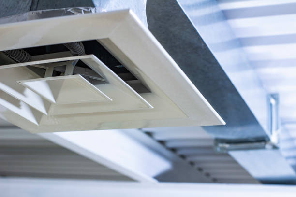 Best Affordable HVAC Duct Cleaning  in Buena Vista, MI