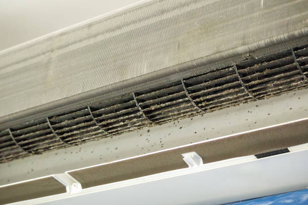 Best Emergency Air Duct Cleaning  in Buena Vista, MI